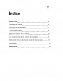 Cultura de la democracia