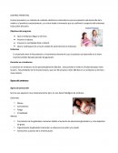 Control prenatal es un método de cuidados obstétricos sistemáticos para la evaluación del desarrollo de la madre