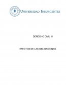 DERECHO CIVIL III EFECTOS DE LAS OBLIGACIONES