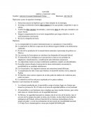 Análisis y expresión verbal.