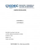 ORIGEN, EVOLUCIÓN Y DESARROLLO DE LA AUDITORIA