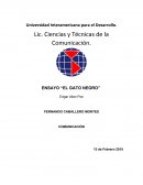 El Gato Negro Edgar Allan Poe