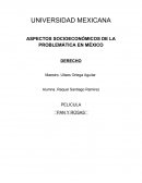 ASPECTOS SOCIOECONÓMICOS DE LA PROBLEMÁTICA EN MÉXICO