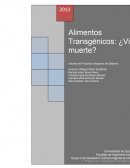 METODOLOGIA Y DESARROLLO DE LA INVESTIGACIÓN