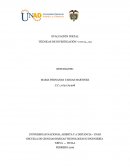 Cómo está organizada la investigación en la UNAD?