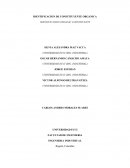 METODO DE LA FUNSION SODICA, METODO WILL-WARRENTRAPP Y LA IDENTIFICACION DE ALOGENOS Y NITROGENOS