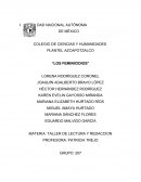 Tipos de feminicidios y características de las víctimas.