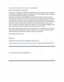 ¿Cuál consideras es el papel del líder en una organización?