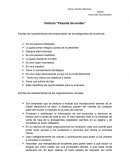 Película “Pasante de modas”