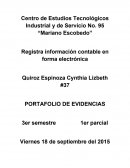 Registrode información contable en forma electrónica