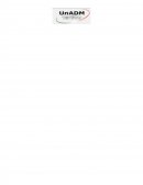 Administracion de pequeñas y medianas empresas. SARE Holding S. A. B. de C. V