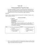 Presupuestacion Flujo De Caja