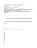 ENSAYO: “LA NAVIDAD Y LA LLEGADA DEL INVIERNO”