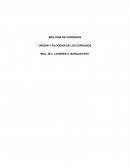 BIOLOGÍA DE CORDADOS ORIGEN Y FILOGENIA DE LOS CORDADOS