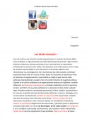 LAS REDES SOCIALES. ENSAYO