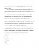 CASO "THE APPLE IPHONE"