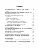 Introducción al Derecho Penal Vigente