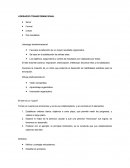 Liderazgo transformacional. El líder es un “coach”