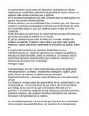 Desayuno de campeones