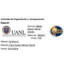 Actividad de Organización y Jerarquización. Etapa #1