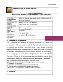 Perfil de investigación Programación JSP. Página 1