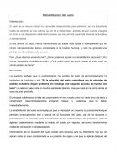 Rehabilitacion del suelo.