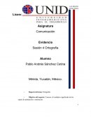 Comunicación Evidencia Sesión 4 Ortografía