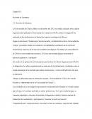 Capítulo II: Revisión de Literatura