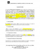 Contrato de crédito Mediterranean Shipping Company Costa Rica S R L