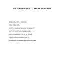 Producción de Palma de Aceite en Palenque, Chiapas.