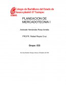 SISTEMAS DE MERCADOTECNIA .