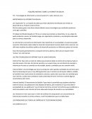 PEQUEÑO ABSTRACT SOBRE EL INTERNET EN BOLIVIA