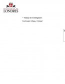 Ensayo curriculum vitae y carta circular.