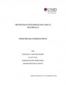 Desarrollo y mantenimiento