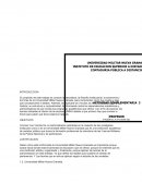 ENSAYO ACTIVIDAD III