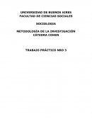 Trabajo Práctico 3 - METODOLOGÍA DE LA INVESTIGACIÓN - CÁTEDRA COHEN
