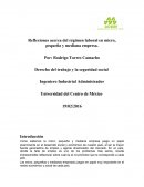 Reflexiones acerca del régimen laboral en micro, pequeña y mediana empresa.