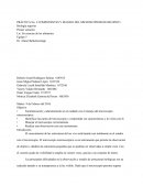 PRÁCTICA No. 3 COMPONENTES Y MANEJO DEL MICROSCOPIOESTEOSCOPICO