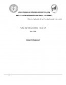 Aplicación de las Tecnologías de la Información Por qué deseo estudiar IMA