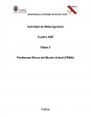 CUADRO ABP ACTIVIDAD METACOGNICIÓN PEMA