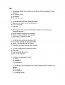 Si pudieras gastar mucho dinero en uno de los artículos siguientes. ¿Qué eligieras?