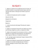 Cuestionario acerca del Ensayo