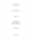 Gerencia del Talento Humano. Actividad 1 Grupal