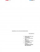 DESARROLLO DE UN PLAN DE INNOVACION