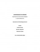 Microbiologia. Practica #2 Manejo y uso del microscopio óptico compuesto