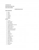 UNIVERSIDAD EAN NEGOCIACIÓN INTERCULTURA