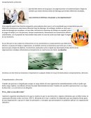 ¿Existe un estilo particular de liderazgo que convierta en efectivos a los grupos y a las organizaciones?