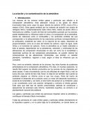 Aviacion y la contaminacion.