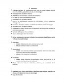 HOJA DE TRABAJO: FARMACOLOGÍA