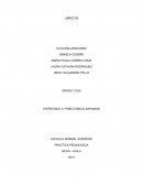 Libretos. Apuntes Varios